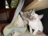 Katie and her baby
